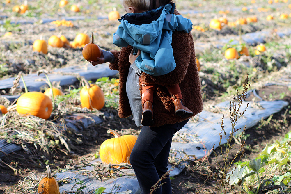 Autumn Pumpkins