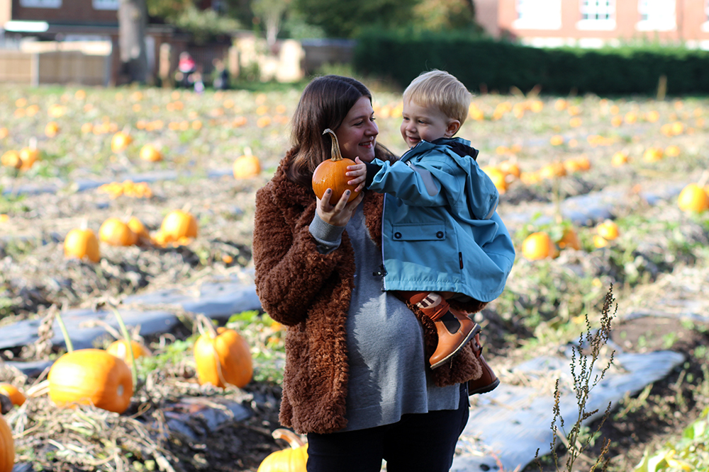 Autumn Pumpkins