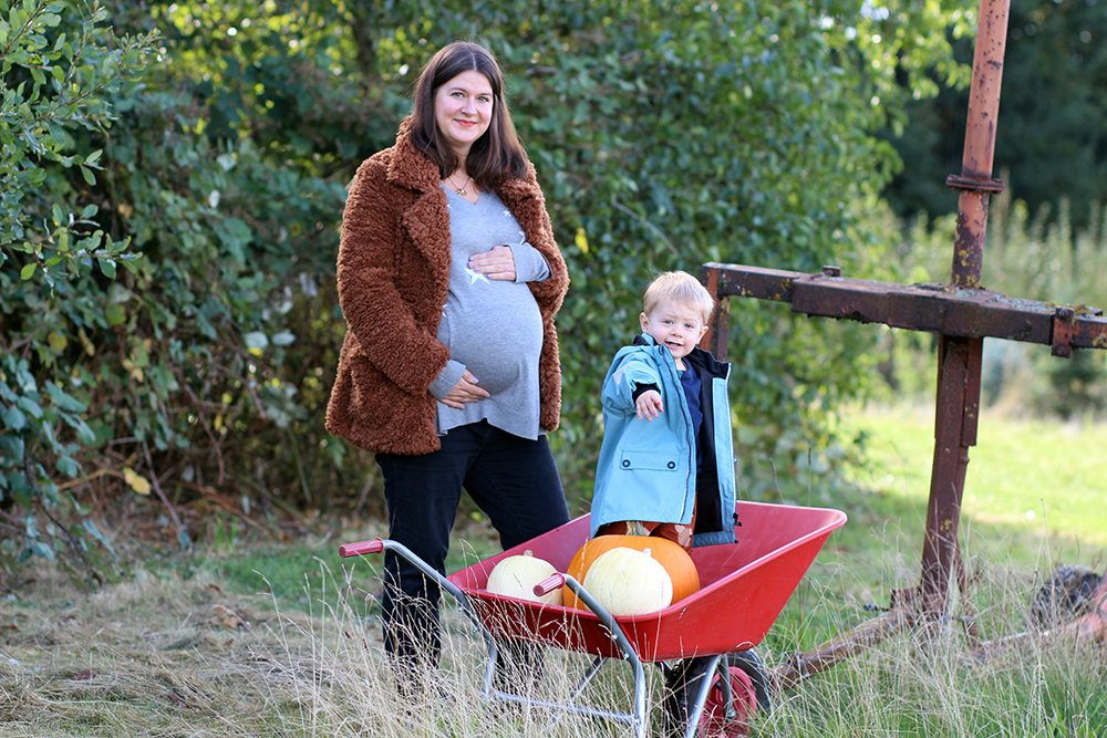 Autumn Pumpkins