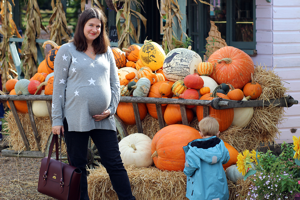 Autumn Pumpkins